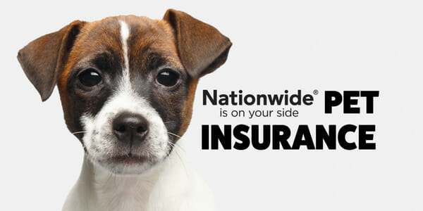 Pets Insurance