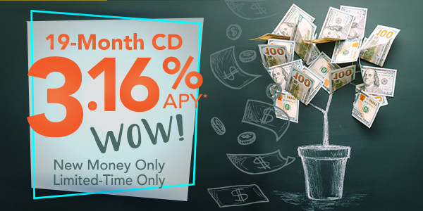 19 Month Bump CD Special