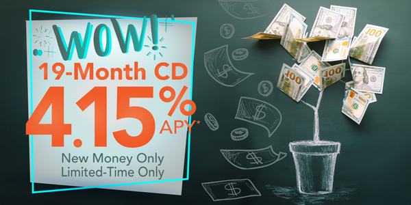 19 Month Bump CD Special