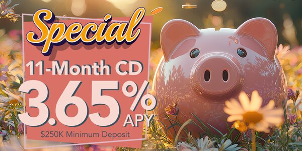 11 Month CD Special