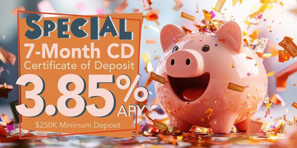 7 Month CD Special